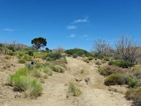 Barber Loop Trail