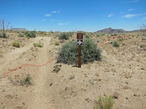 Barber Loop Trail