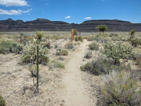 Barber Loop Trail