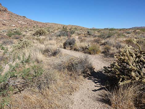 Hole-in-the-Wall Campground Trailhead