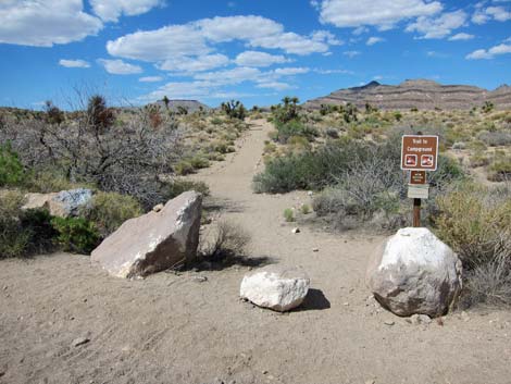 Cactus Garden Loop Trail