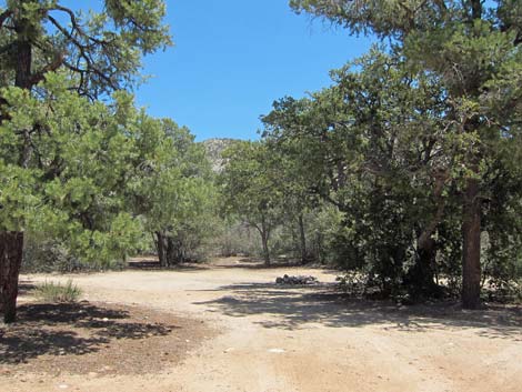 Caruthers Canyon