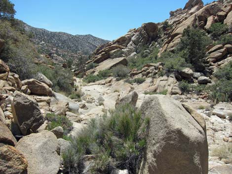 Caruthers Canyon