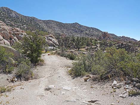 Caruthers Canyon