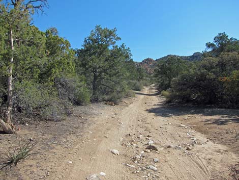 Caruthers Canyon Road