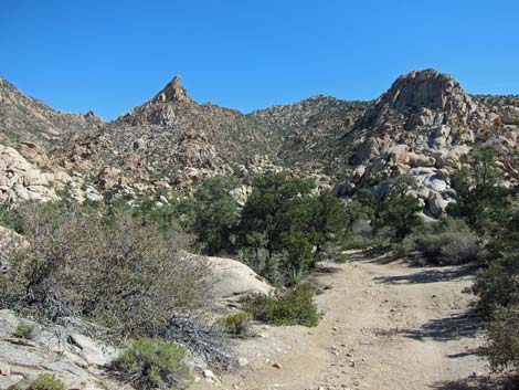 Caruthers Canyon Road