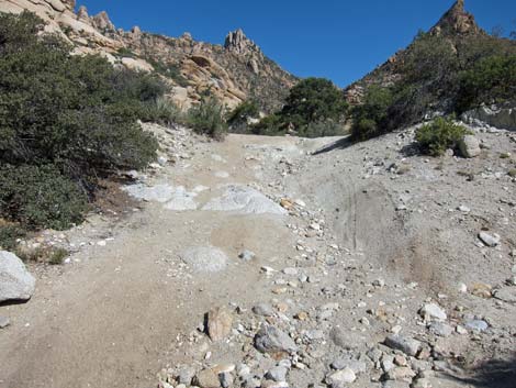 Caruthers Canyon