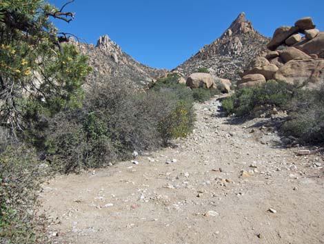 Caruthers Canyon Road