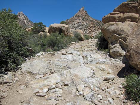 Caruthers Canyon Road