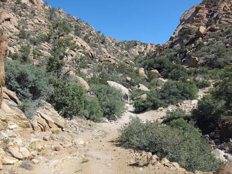 Caruthers Canyon Road