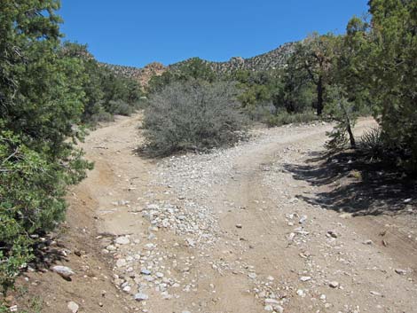 Caruthers Canyon