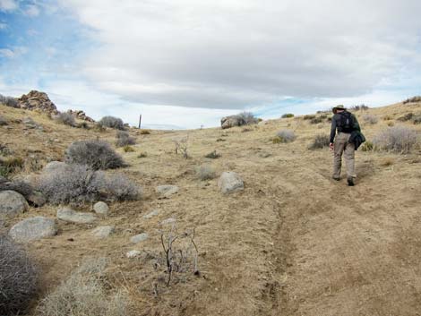 Hole-in-the-Wall to Mid Hills Trail