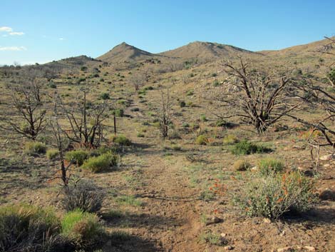 Hole-in-the-Wall to Mid Hills Trail