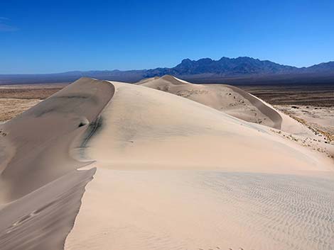 Kelso Dunes