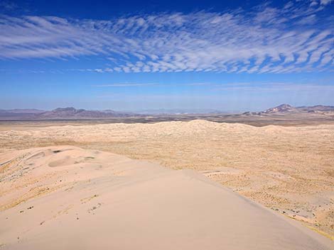 Kelso Dunes