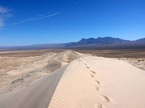 Kelso Dunes