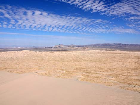 Kelso Dunes