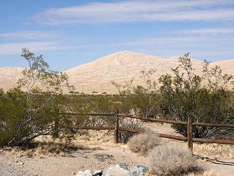 Kelso Dunes