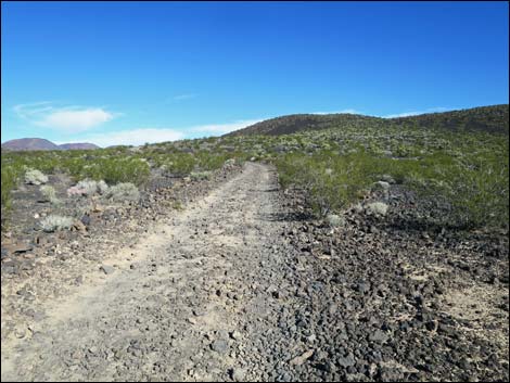 Lava Tube