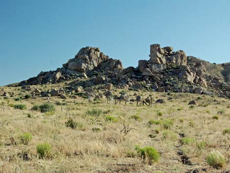 Mid Hills to Hole-in-the-Wall Trail