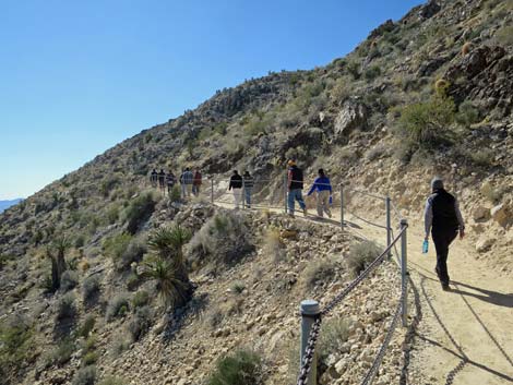 Mitchell Caverns Trail