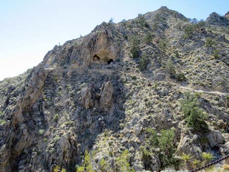 Mitchell Caverns Trail