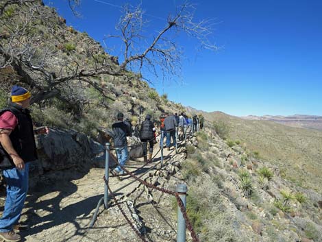 Mitchell Caverns Trail