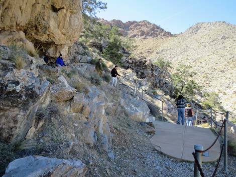 Mitchell Caverns Trail