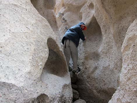 Rings Loop Trail