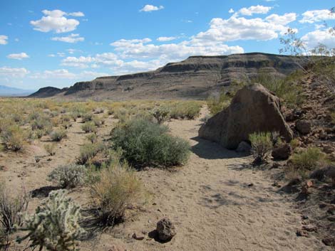 Rings Loop Trail