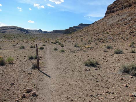 Rings Loop Trail