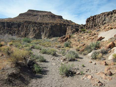 Rings Loop Trail