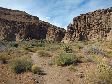 Rings Loop Trail