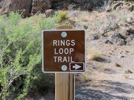 Rings Loop Trail