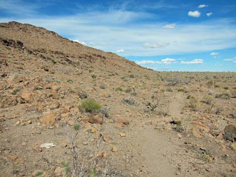 Rings Loop Trail