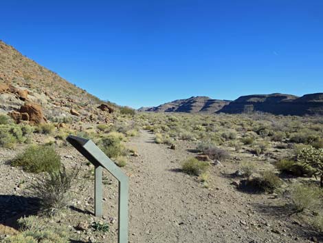 Rings Loop Trail