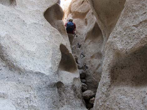 Rings Loop Trail