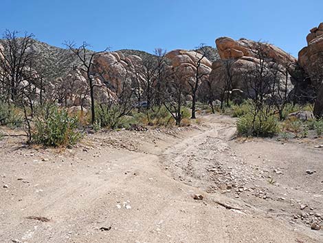 Caruthers Canyon Road