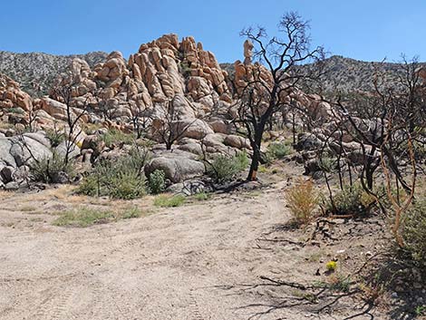 Caruthers Canyon Road