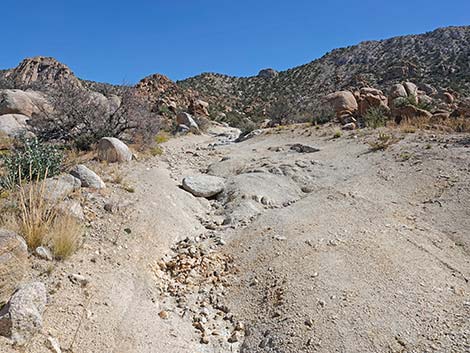 Caruthers Canyon Road