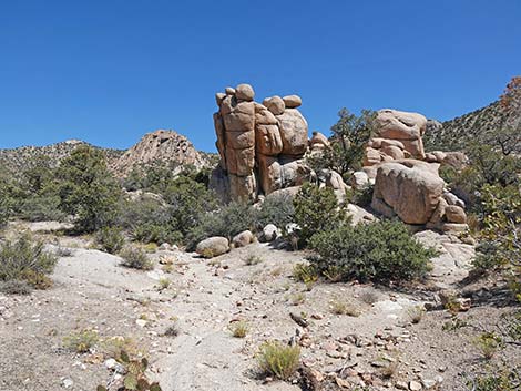 Caruthers Canyon Road