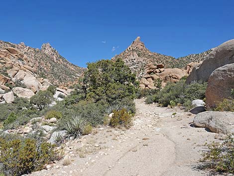 Caruthers Canyon Road