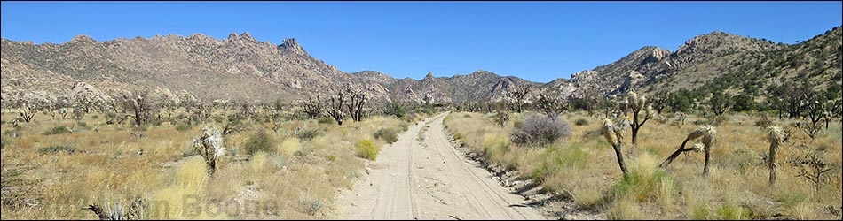 Caruthers Canyon Road