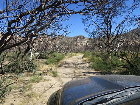 Caruthers Canyon Road