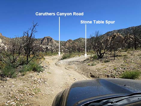 Caruthers Canyon Road