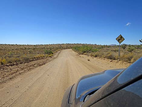 Cedar Canyon Road