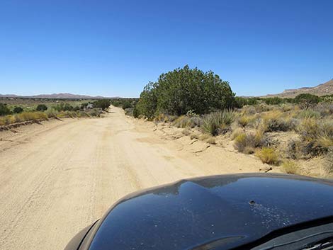 Cedar Canyon Road