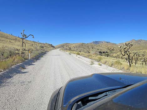 Ivanpah Road