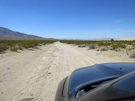 Kelso Dunes Road