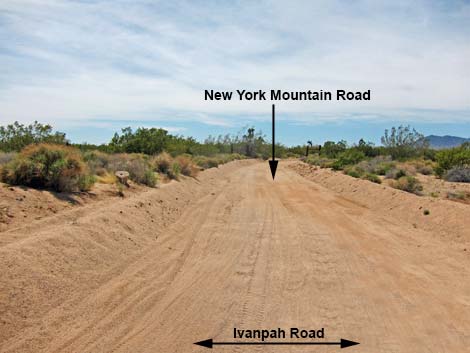 Ivanpah Road